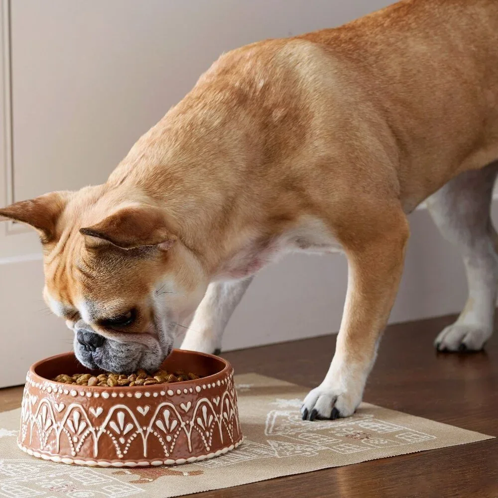 Pottery Barn Gingerbread Pet Bowl Large Stoneware
